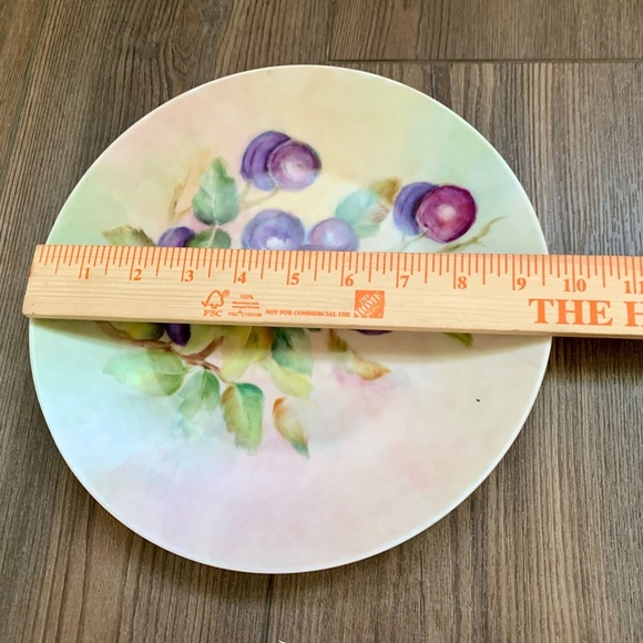 Vintage Hutschenreuther Selb Bavaria Hand Painting 10 Inch - Picture 2 of 8